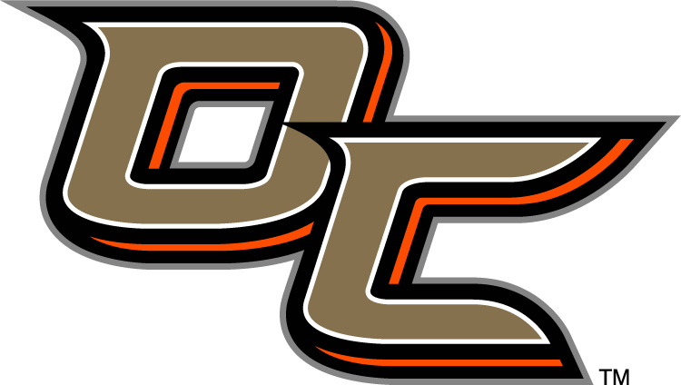 Anaheim Ducks 2014 Special Event Logo iron on transfers for T-shirts